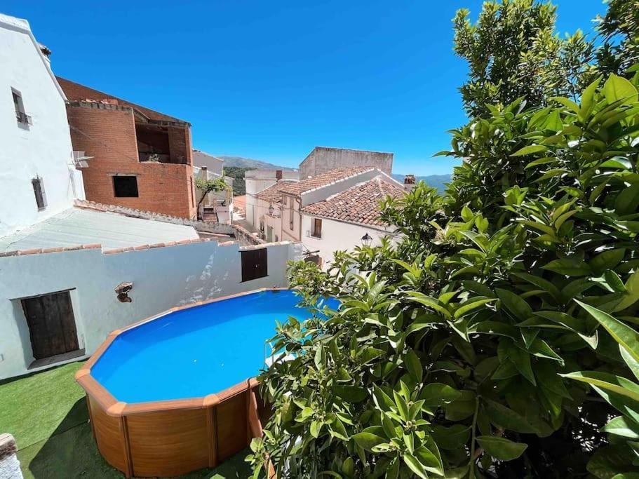 La Palmera. Con Piscina Privada. Holiday home