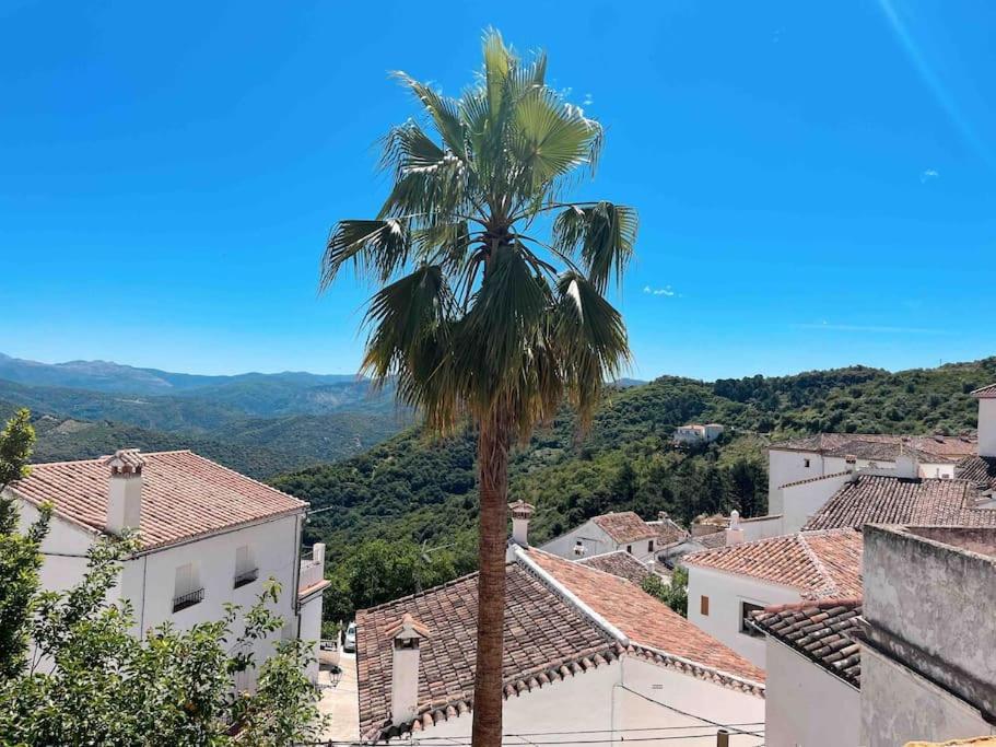 La Palmera. Con Piscina Privada.