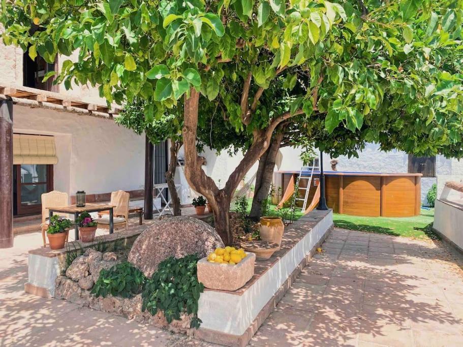 La Palmera. Con Piscina Privada.