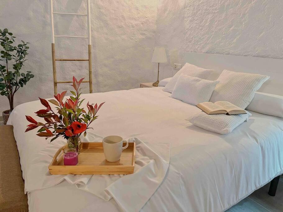 Casa de vacances La Palmera. Con Piscina Privada. Benadalid